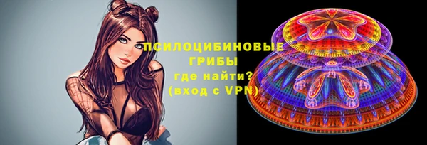 apvp Алзамай