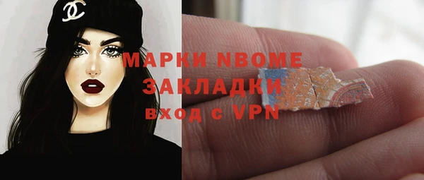 apvp Алзамай