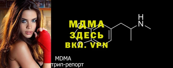 apvp Алзамай