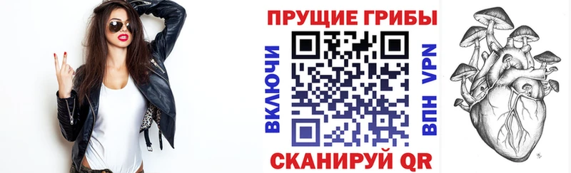 Псилоцибиновые грибы мухоморы купить наркотики цена Волгоград